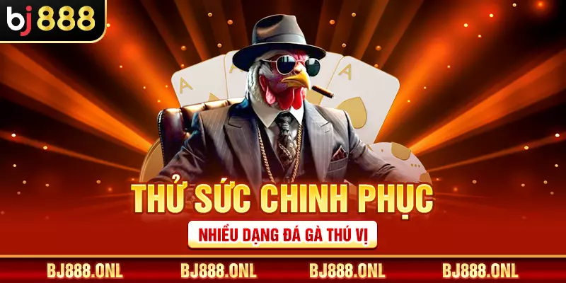 Thử sức chinh phục nhiều dạng đá gà thú vị