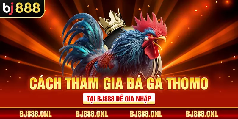 Cách tham gia đá gà Thomo tại BJ888 dễ gia nhập