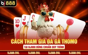 Cách Tham Gia Đá Gà Thomo Tại BJ888 Đúng Chuẩn Quy Trình