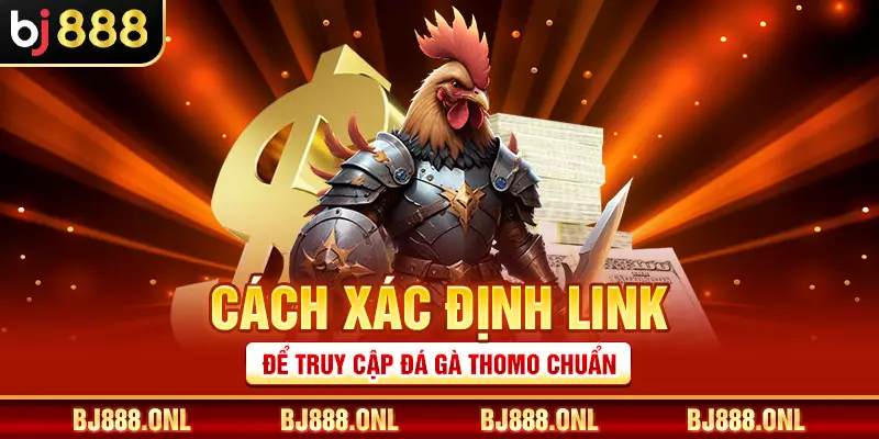 Cách xác định link để truy cập đá gà Thomo chuẩn