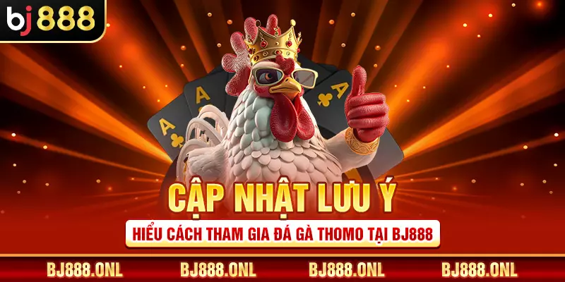 Cập nhật lưu ý khi hiểu cách tham gia đá gà Thomo tại BJ888