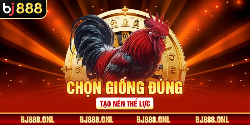 Chọn giống đúng tạo nền thể lực