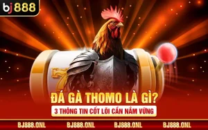Đá Gà Thomo Là Gì? 3 Thông Tin Cốt Lõi Cần Nắm Vững