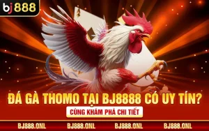 Đá Gà Thomo Tại BJ8888 Có Uy Tín? Cùng Khám Phá Chi Tiết