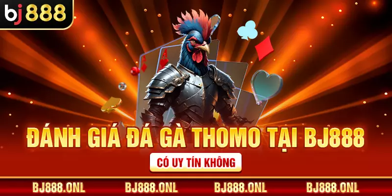 Đánh giá đá gà Thomo tại BJ888 có uy tín không