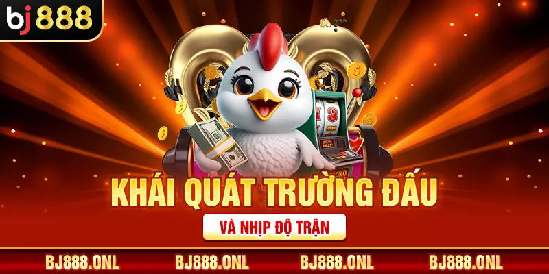 Khái quát trường đấu và nhịp độ trận