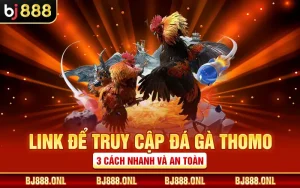 Link Để Truy Cập Đá Gà Thomo - 3 Cách Nhanh Và An Toàn