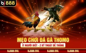 Mẹo Chơi Đá Gà Thomo Ít Người Biết - 2 Kỹ Thuật Dễ Thắng
