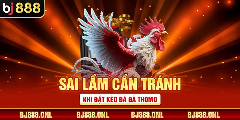 Sai lầm cần tránh khi đặt kèo đá gà Thomo