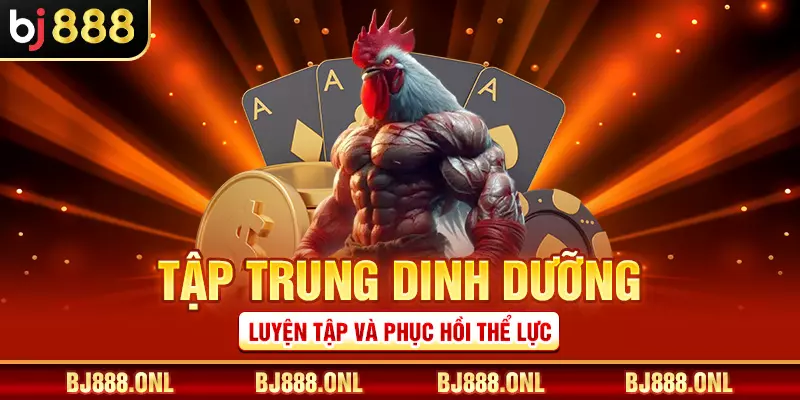 Tập trung dinh dưỡng, luyện tập và phục hồi thể lực