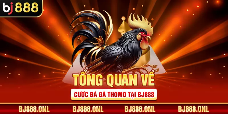 Tổng quan về cược đá gà Thomo tại BJ888