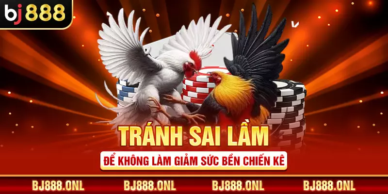 Tránh sai lầm để không làm giảm sức bền chiến kê